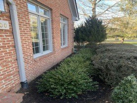 Blue Collar Scholars Landscaping and Construction - Photo 3