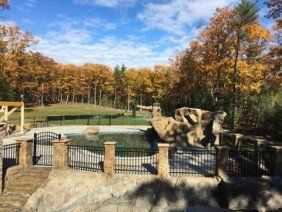 Local Fence Company - Photo 4