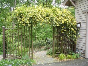 Garden Architecture, LLC - Photo 2
