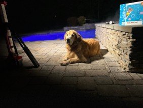 Pool Service MD & Swimming Pool Renovations - Photo 0