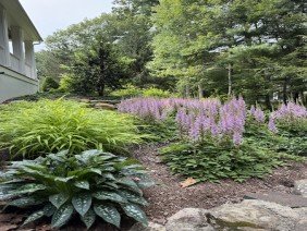 Ahronian Landscaping & Design - Photo 5