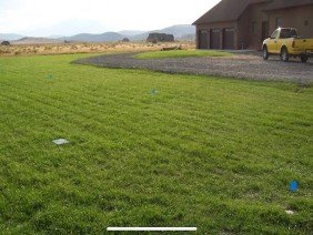 Beartooth Hydroseed - Photo 0