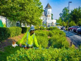 Level Green Landscaping - Photo 5