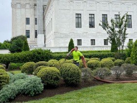 Gold Leaf Group - Photo -1