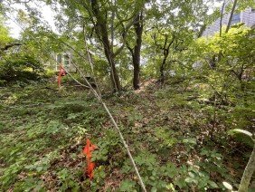 Land Management Systems, Inc - Photo 0