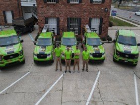 Roof Gecko - Photo 0