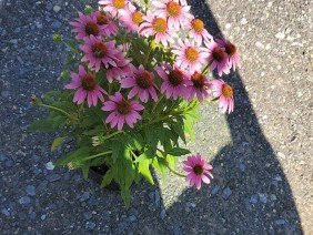 Hurley Landscape and Design, LLC - Photo 4