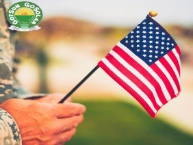 Got Sun Go Solar - Photo 4