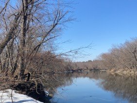 Daniel Salls Land Surveying - Photo -1