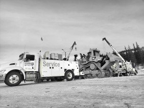 NC The Cat Rental Store - Photo 0