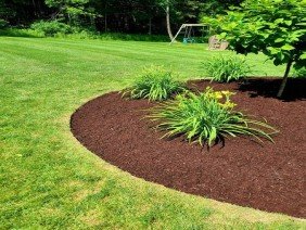 Jeffrey Williams Landscaping - Photo 2