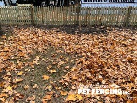 Great Lakes Fencing Inc. - Photo -1