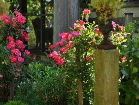 Natural Concerns Inc - Photo 0