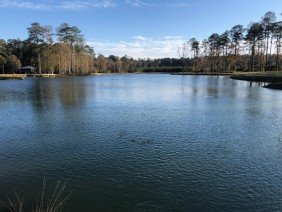 Louisiana Pond Management - Photo 3