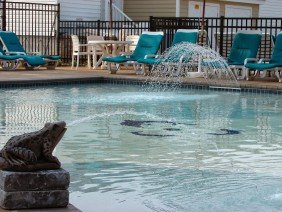 Anchor Aquatics - Photo 0