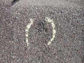 Pro Custom Builders & Roofing - Photo 0