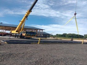 Central Michigan Crane - Photo -1