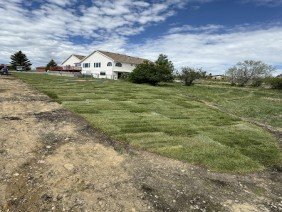 EZ Dayz Landscaping LLC. - Photo 6