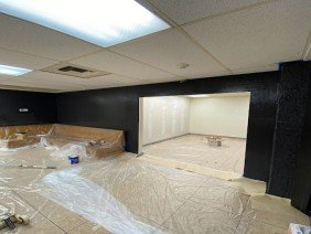 That 1 Painter Phoenix - Photo 2