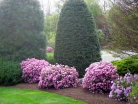 By Design Landscape Concepts, Inc. - Photo 5