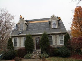 Ferreira Company - Photo 4