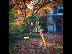 Panoramic Land Surveys - Photo -1