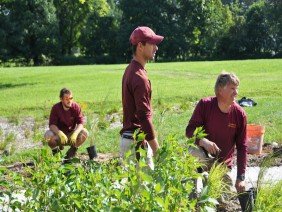 Natural Concerns Inc - Photo 3