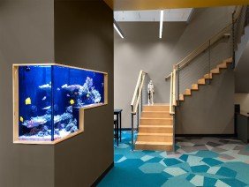 MSB Architects - Photo -1