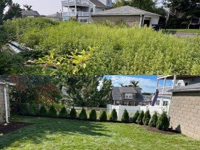 Collins Landscaping - Photo 2