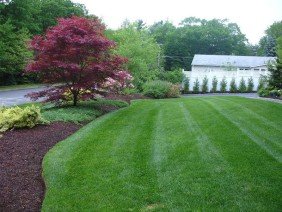 Central Mass Landscapes - Photo 5