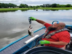 Louisiana Pond Management - Photo 2