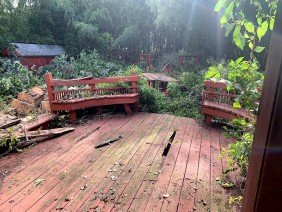 Empire Landscapes - Photo 4