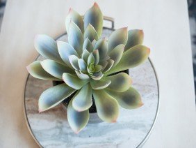 Kreat & Design by Jessica Boyer - Photo 2