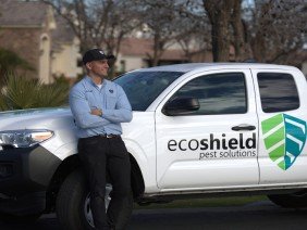 EcoShield Pest Solutions - Photo 2