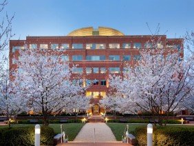 Next Level Exteriors - Photo 2