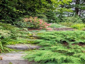 Ahronian Landscaping & Design - Photo 1