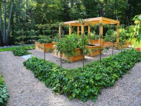 Offshoots, Inc. - Photo 4