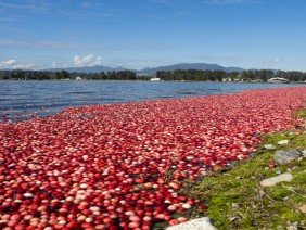 Beals and Thomas, Inc. - Photo 6