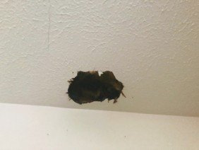 Hole in the Wall Repair Services - Photo 1