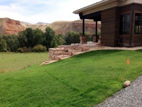 Beartooth Hydroseed - Photo 1