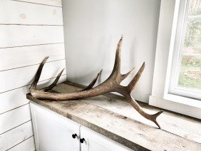Haven Homes & Design Co. - Photo 4