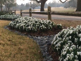 JubileeScape - Photo 2