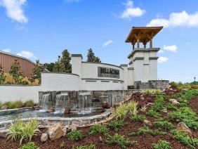 Bellacosa by D.R. Horton - Photo 1