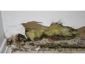 Argus Contracting - Photo 1