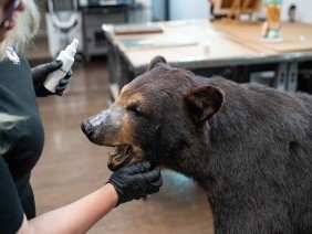 Prism Specialties of Alabama and the Panhandle - Photo 6