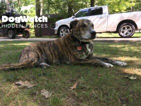 Great Lakes Fencing Inc. - Photo 5