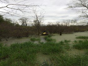 Otto Land Surveying, LLC - Photo 2