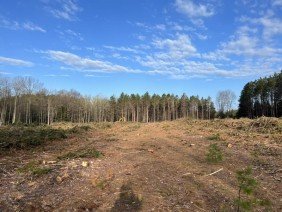 Riggs Landscaping and Excavation - Photo 1