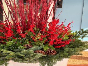 a Blade of Grass - Photo 0