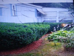 Tims tree & landscaping - Photo 2